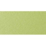 Kiwi Green poly color