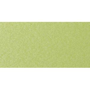 A-Frame Roof Colors Kiwi Green Tropical