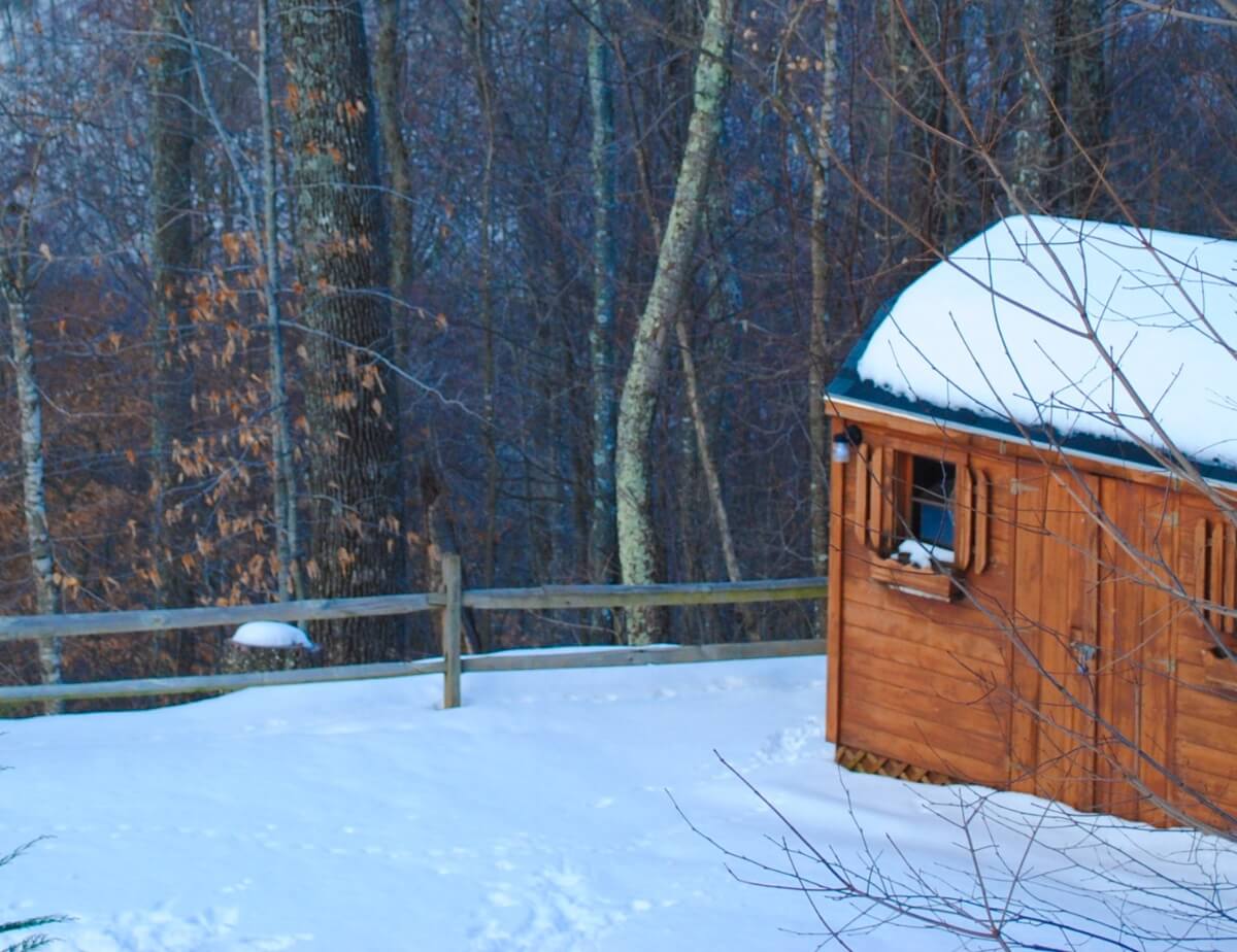 Storage shed in the woods on a snowy winter day