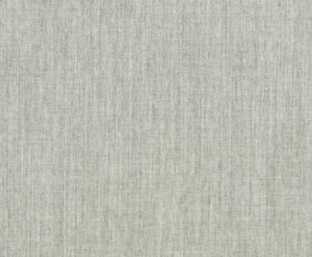 Canvas Granite fabric color